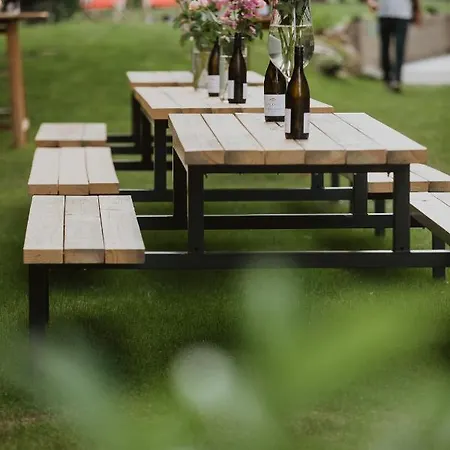 בית הארחה Center Vintgar